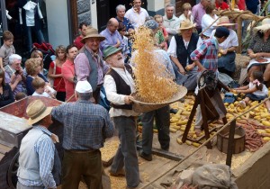 douja dor festival sagre asti